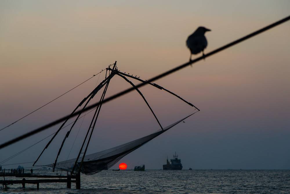 Local Guides Connect - Cheena Vala#Chinese Fishing Net#Fort Kochi