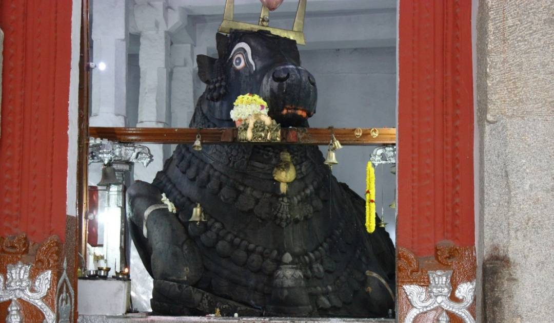 Bull Temple or Dodda Basavana Gudi timings,tickets,things to know ...