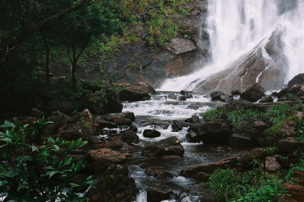 Hebbe Falls Chikkamagaluru Tickets, timings, offers May 2024 | ExploreBees