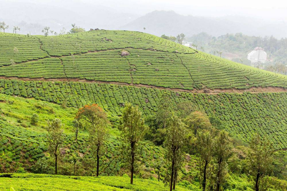 Pallivasal Munnar Tickets, timings, offers Jun 2022 | ExploreBees