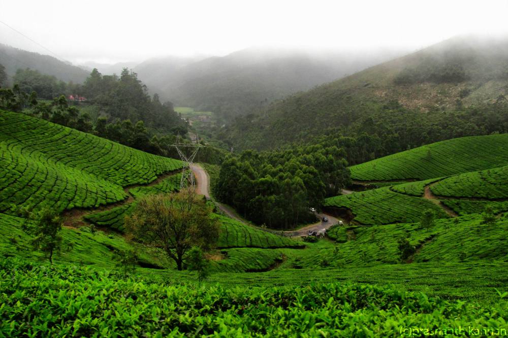 Rajmala Hills Munnar Tickets, Timings, Offers May 2023 