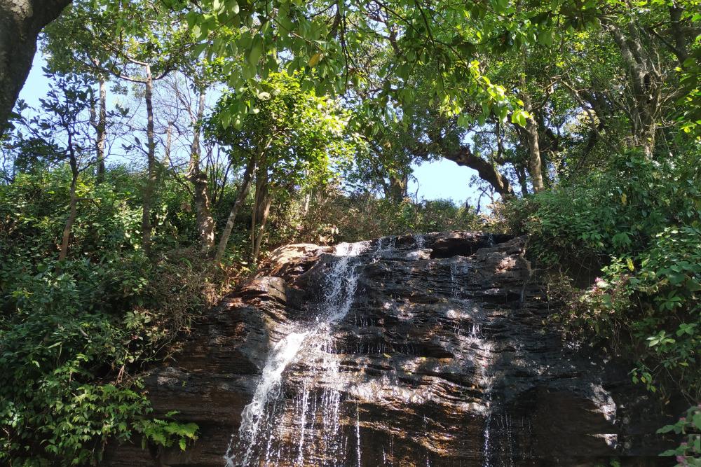 Shanti Falls Chikkamagaluru Tickets, timings, offers Nov 2024 | ExploreBees