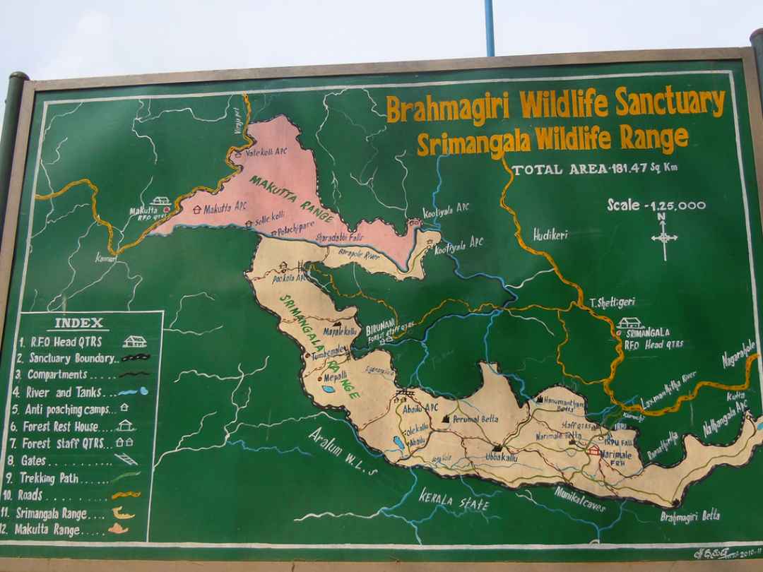 Brahmagiri Trek from bangalore