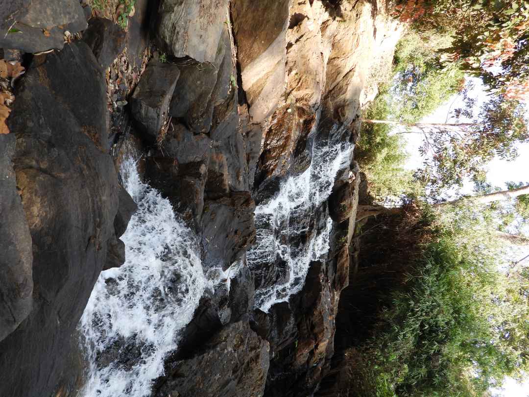 Cherambadi – The Hidden Gem Between Nilgiris & Wayanad