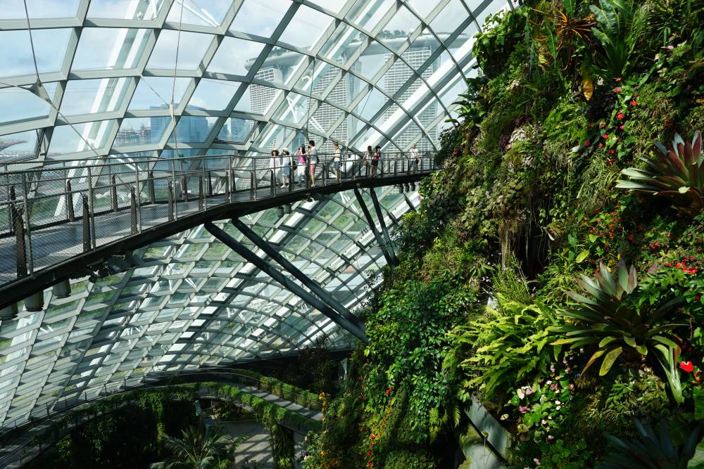 Cloud Forest in Gardens by the Bay Singapore Tickets, timings, offers ...