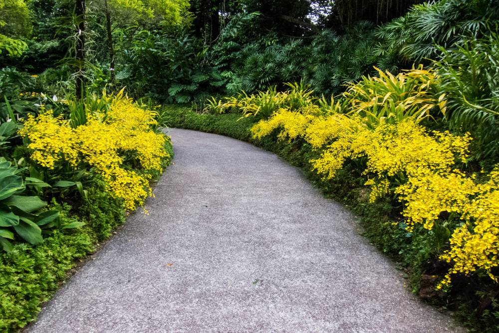 Foliage Garden IN SINGAPORE BOTANIC GARDENS Singapore Tickets, timings ...